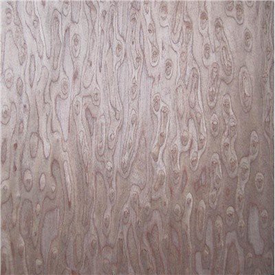 روکش تخته سه لا EV