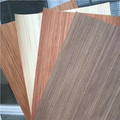 روکش صورت Recon